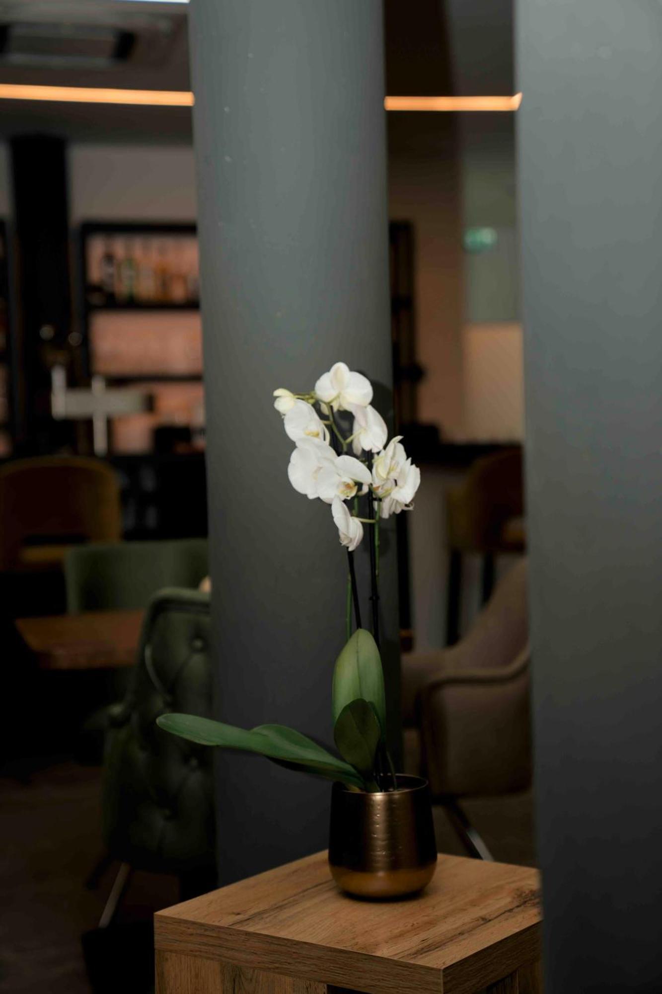 Central Hotel & Lounge Adult Only Goslar Dış mekan fotoğraf